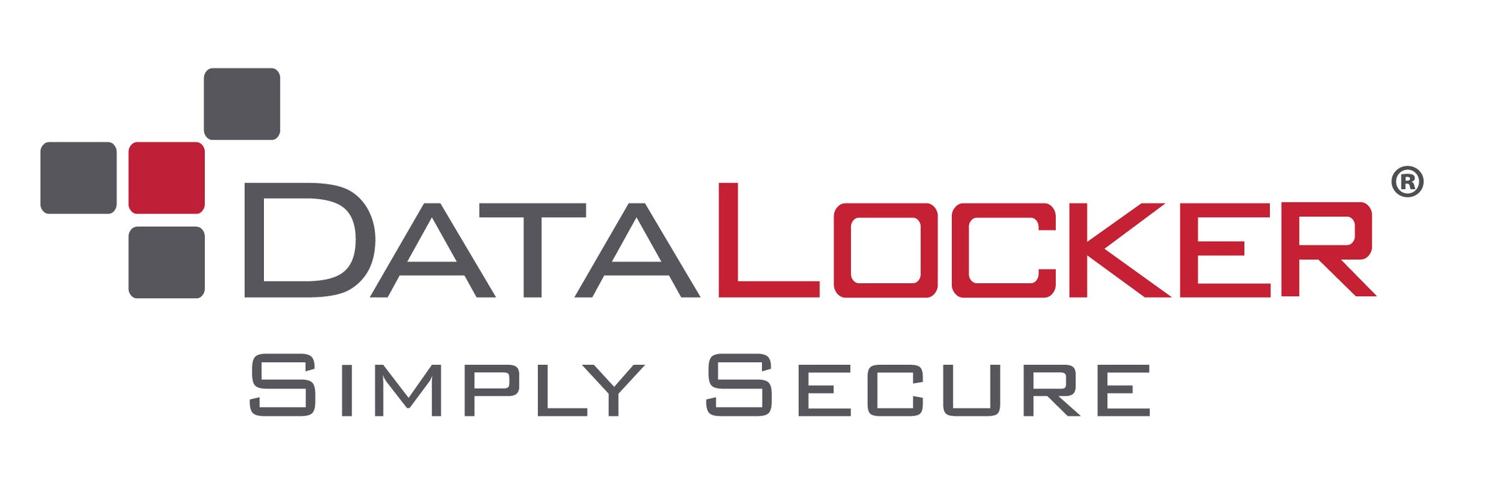 DATALOCKER ON-PREM BASIC SAFECONSOLE LICENSE 1YR